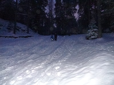 Pulkaåkning Pulkaåkning