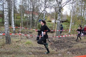 Bild14