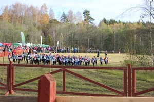 Bild2