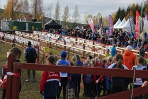 Bild3