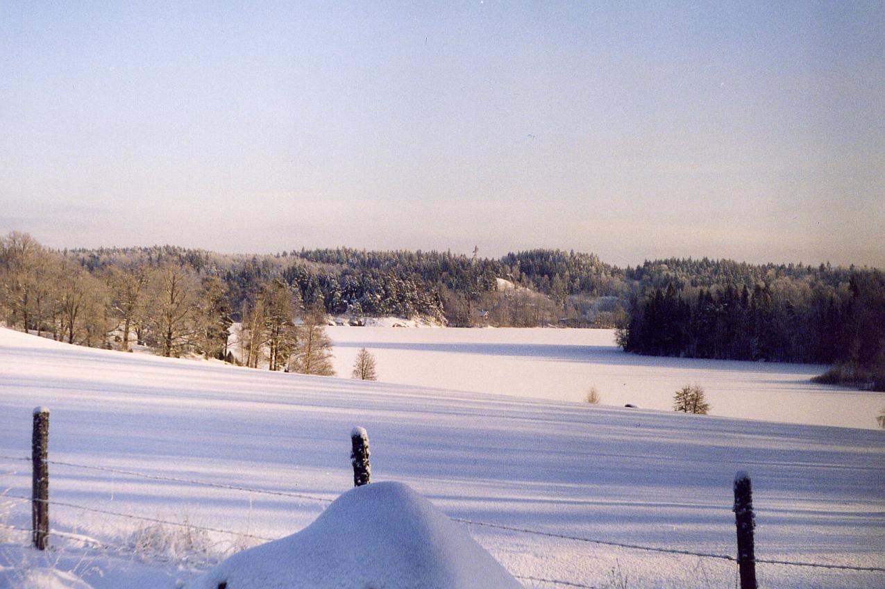 Vinter