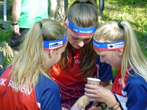 Kolmårdsträffen 2015 Vägvalssnack