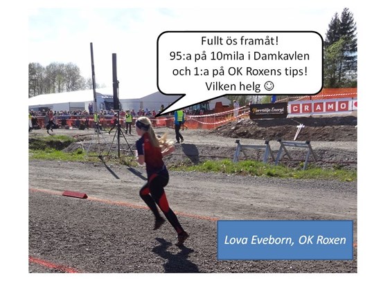 Lova tipsvinnare