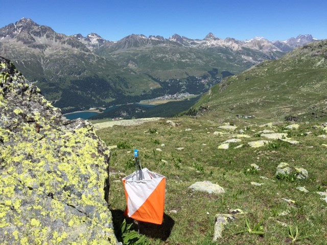SOW 2016 Engardin St.Moritz